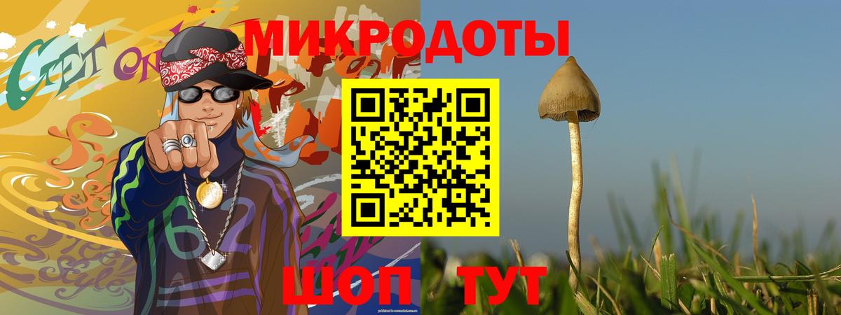 Набережные Челны  Галлюциногенные грибы Cubensis  Вход с VPN 